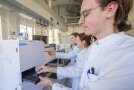 HPLC-Analyse, z. B. Koffeingehalt in Getränken