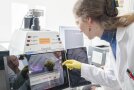 Auswertung der Gel-Elektrophorese
