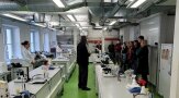 Bestimmung der Keimzahl von Milch im Mikrobiologie-Labor