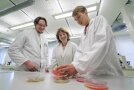 Mikrobiologische Untersuchung von Lebensmitteln