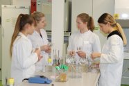 4 Personen stehen in einem Labor hinter Tisch mit Gefäßen
