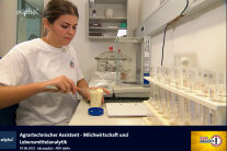 Screenshot Video ATA Lebensmittelanalytik