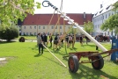 Maibaum wird auf Schulgelände in Höhe gehievt